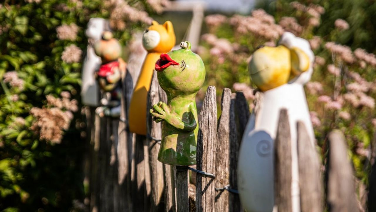 Zaunparade Zaunparade